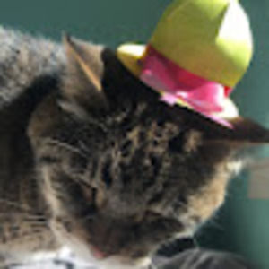 Meet your Posher, Eduardo